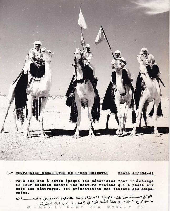 Algerie propagande 045.jpg